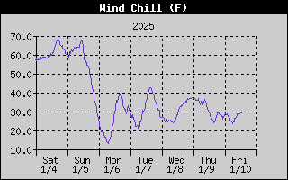 Wind Chill History